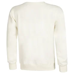 Cheap Crossroad Scraped Advantage Sweatshirt Men - White, Sage Hoodies & Sweaters