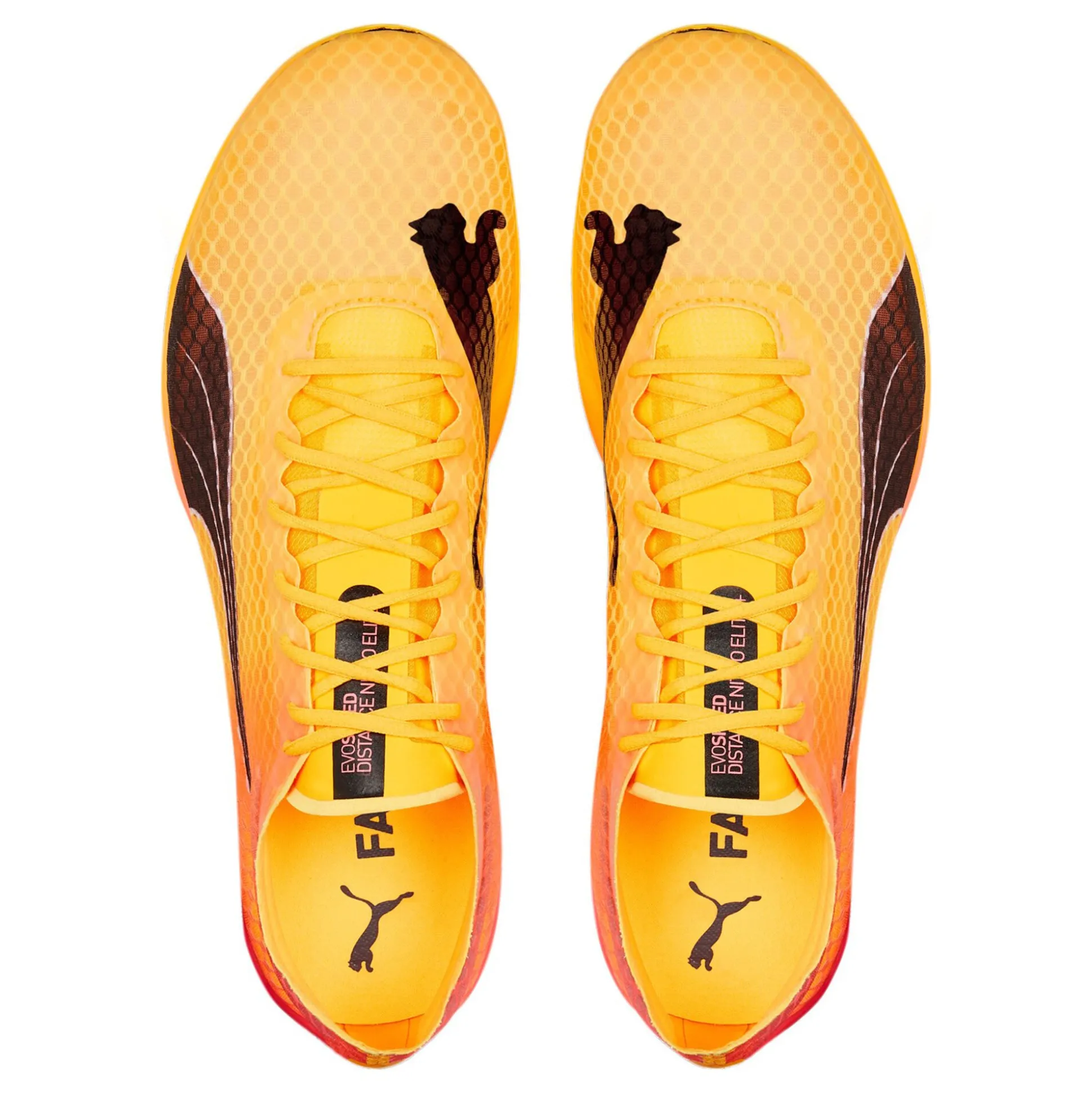 Fashion EvoSPEED Distance Nitro Elite+ 2 Spike Shoes - Yellow, Orange Running Shoes