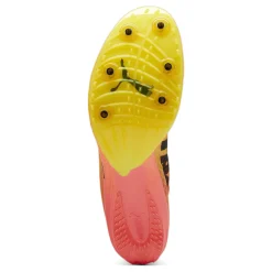 Best Sale EvoSPEED Distance Nitro Elite+ 4 Spike Shoes - Orange, Black Running Shoes