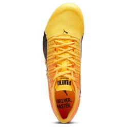 Hot EvoSPEED FUTURE 6 Spike Shoes - Yellow, Orange Running Shoes