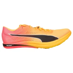 Best Sale EvoSPEED Long Distance Nitro Elite+ Spike Shoes Men - Orange, Pink Running Shoes