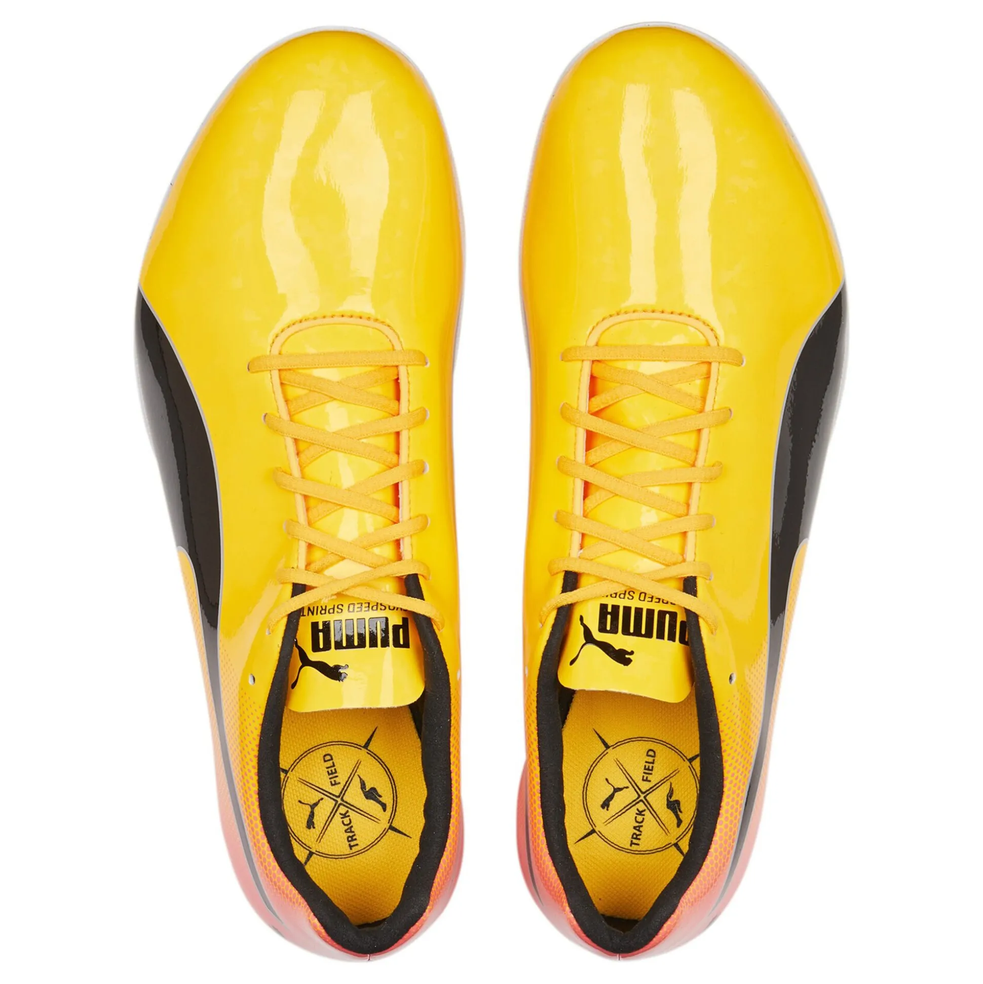 Online EvoSPEED Sprint 14 Spike Shoes - Yellow, Orange Running Shoes