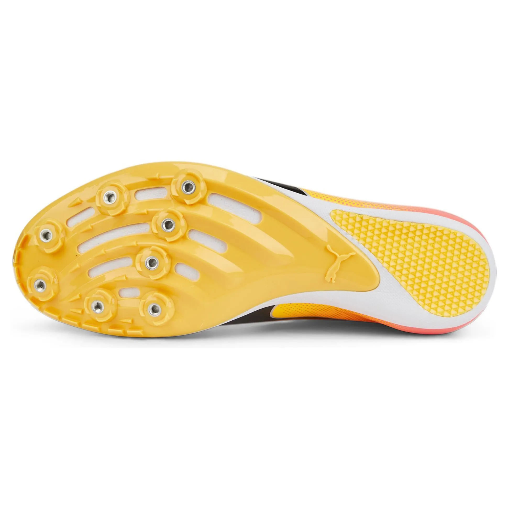 Online EvoSPEED Sprint 14 Spike Shoes - Yellow, Orange Running Shoes