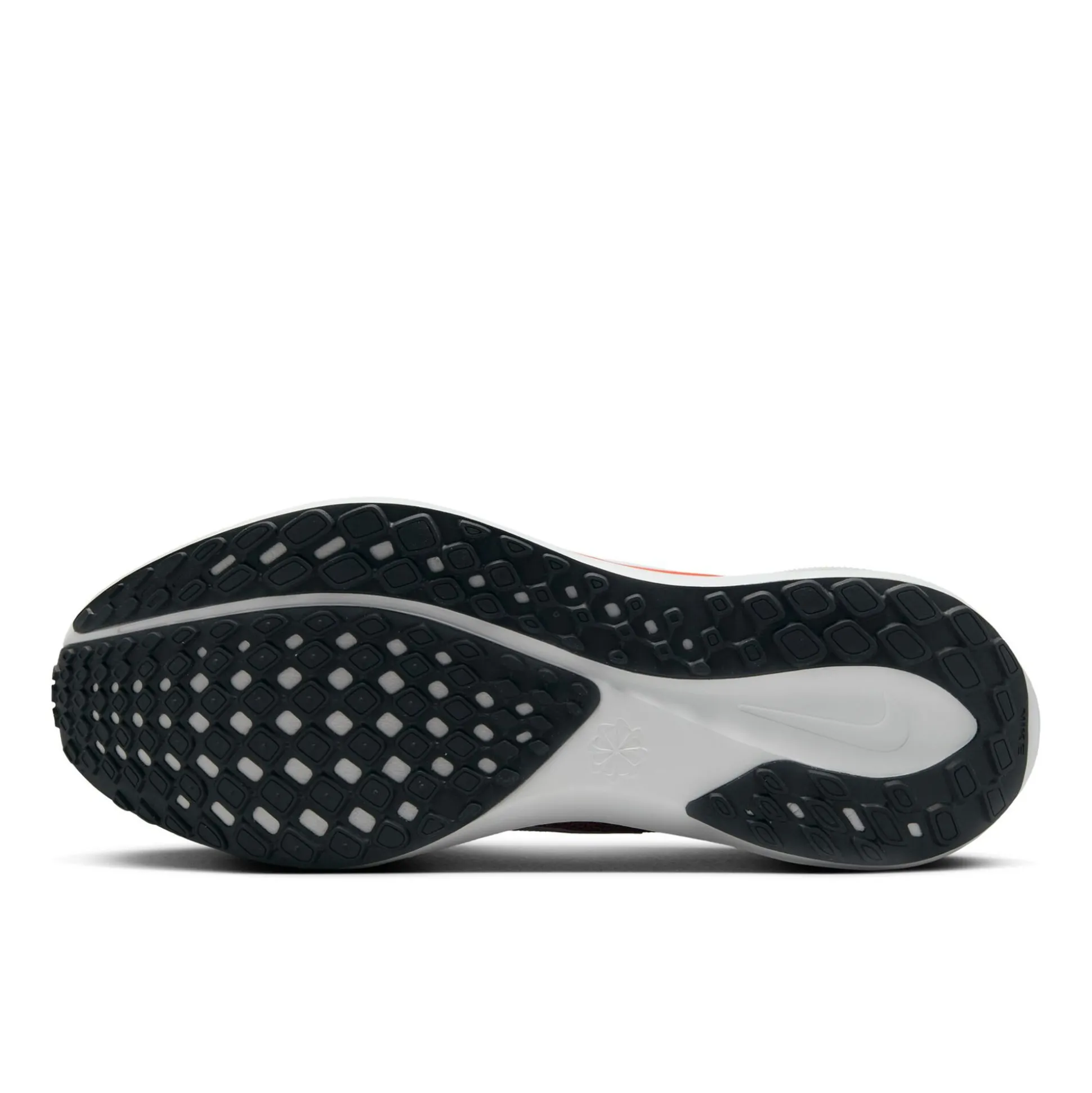 Store Pegasus 41 Neutral Running Shoe Men - Dark Grey, Orange Running Shoes