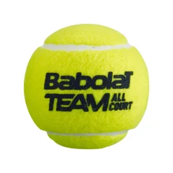 Best Team All Court 4 Ball Tube Regular Balls