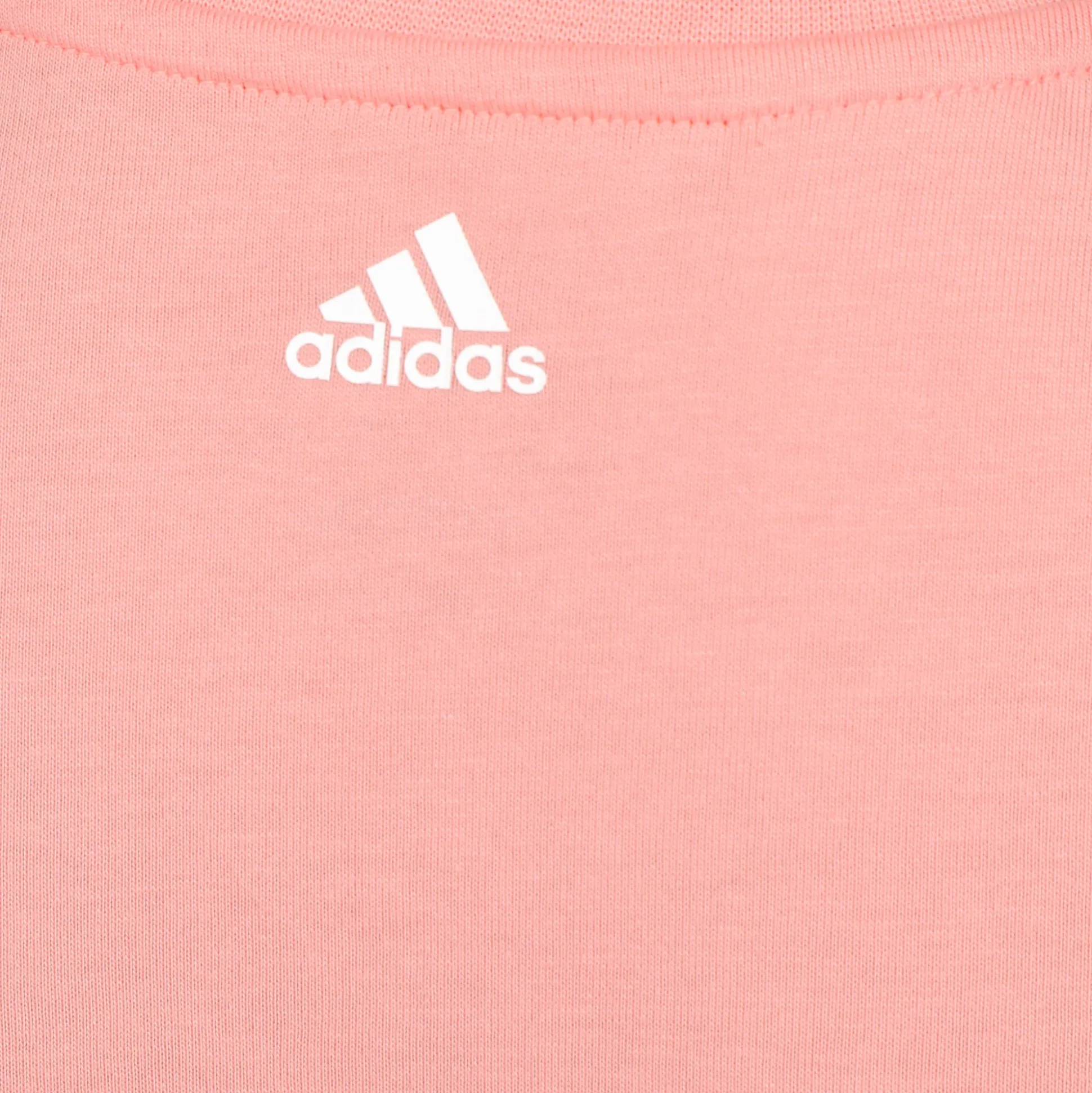 Store Xpress T-Shirt Kids - Pink, Multicoloured Shirts